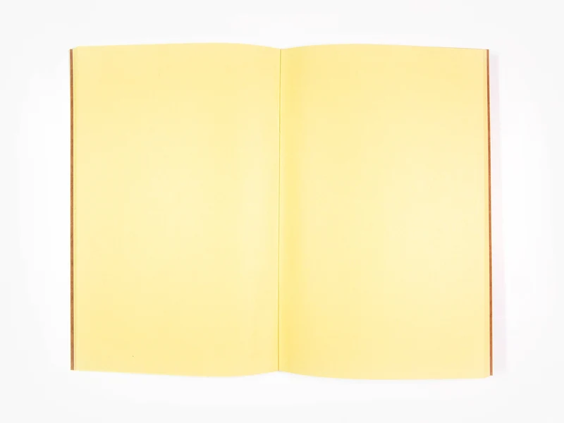 Izumi Kato - Carnet brun (Figure)