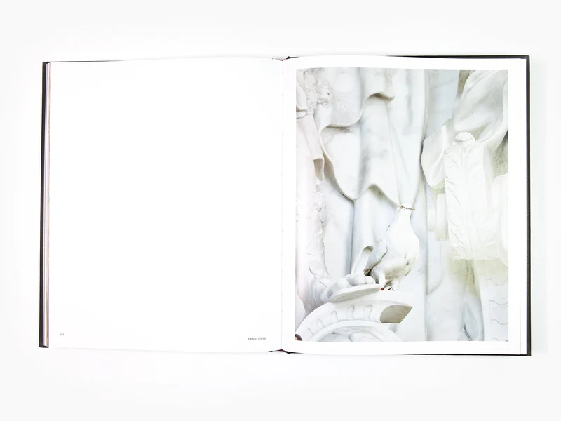 Maurizio Cattelan - Victory is not an Option