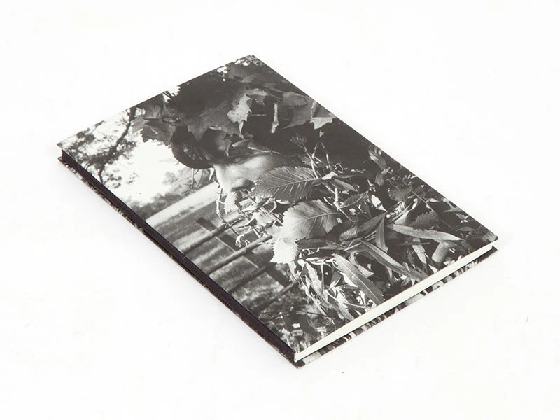 Sophie Calle - Les fanfares de circonstance