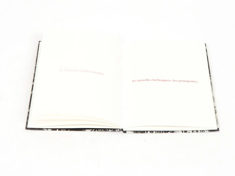 Sophie Calle - Les fanfares de circonstance