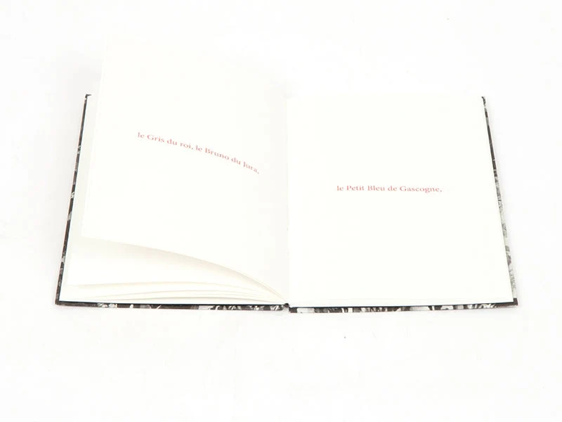 Sophie Calle - Les fanfares de circonstance