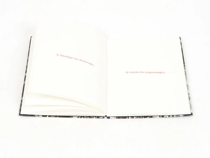 Sophie Calle - Les fanfares de circonstance