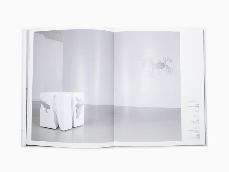 Daniel Arsham - Perrotin monographie (2)