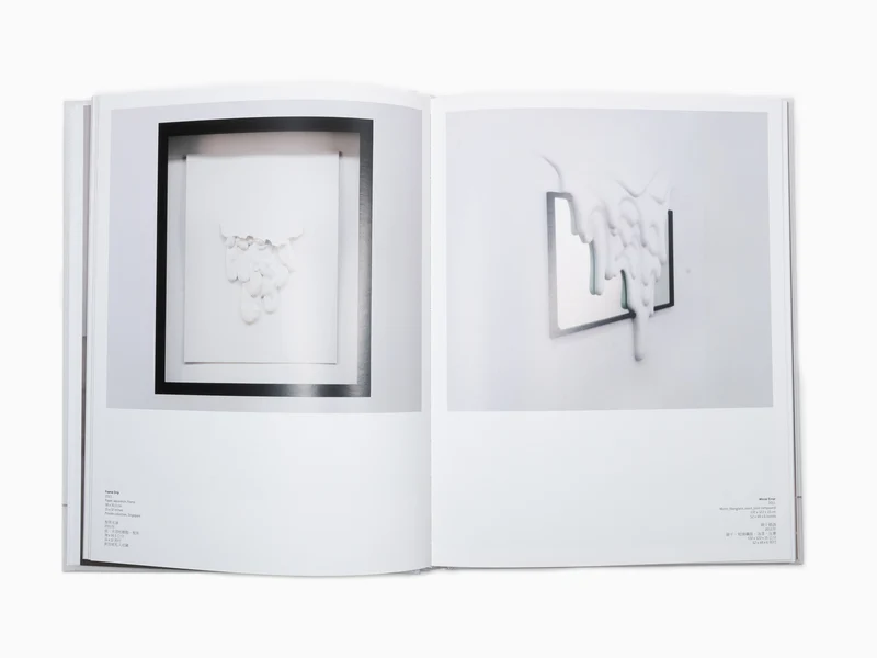 Daniel Arsham - Perrotin monographie (2)