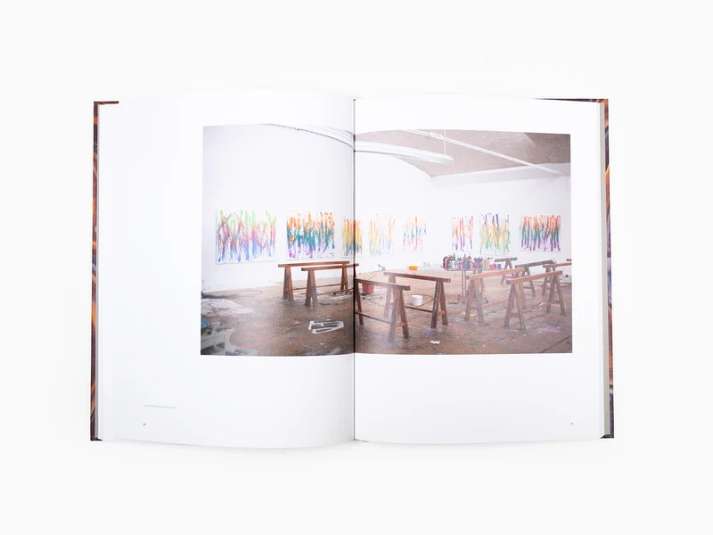 Bernard FRIZE - Monographie Perrotin