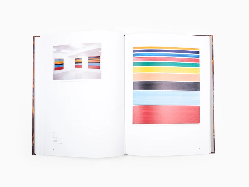 Bernard FRIZE - Monographie Perrotin
