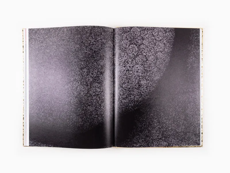 Takashi Murakami - Enso 2