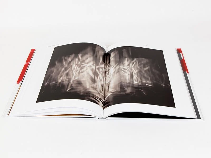 Julio Le Parc - Form Into Action