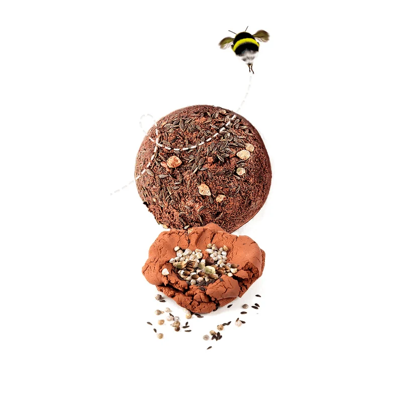 Bombes de Graines (FR)