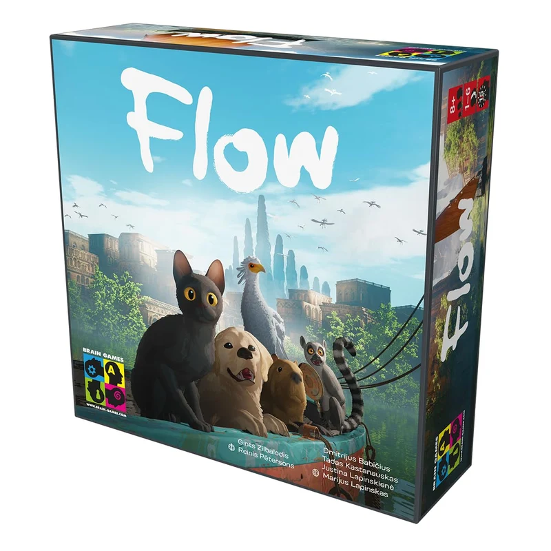 Flow (ML)
