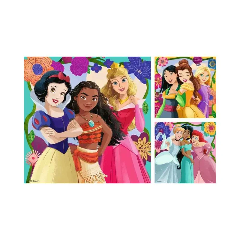 Disney Princess (3x49 pcs)