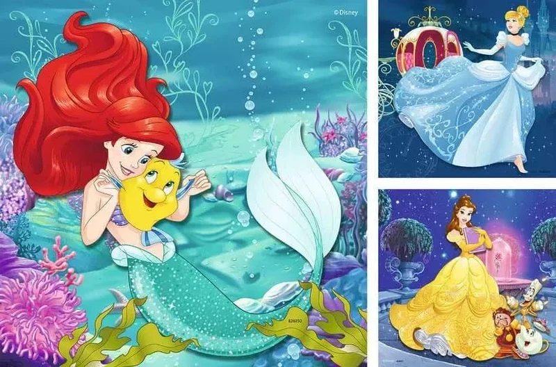 Les princesses Disney (3x49 pcs)