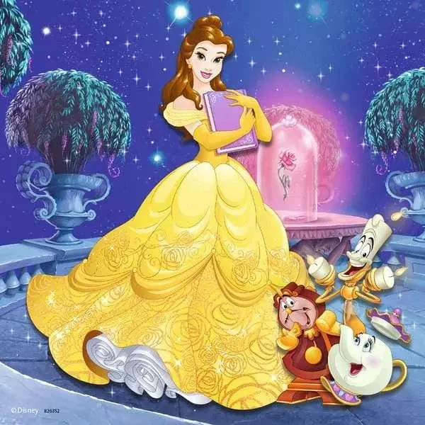 Les princesses Disney (3x49 pcs)