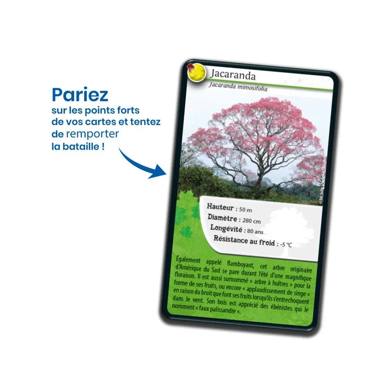 Défis Nature / Arbres du monde (FR)