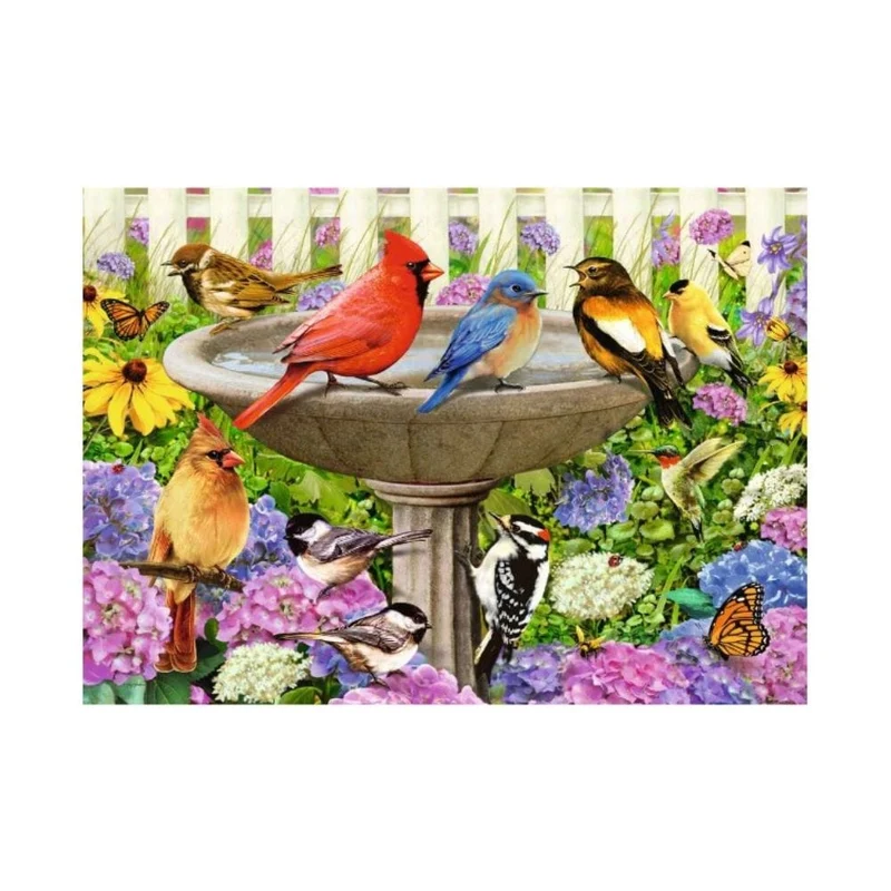 Oiseaux à l'abreuvoir (500 pcs LARGE)