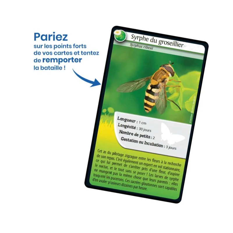 Défis Nature / Abeilles et autres pollinisateurs (FR)