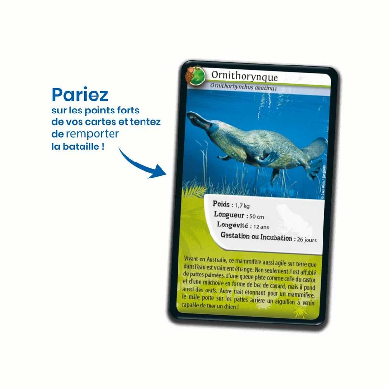 Défis Nature / Animaux extraordinaires (FR)