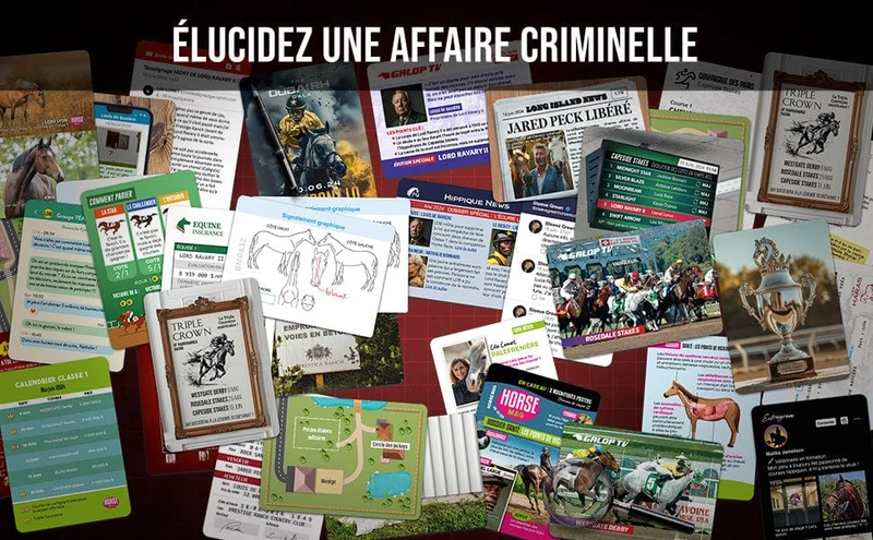Dossiers Criminels Pocket: Qui a Tué Lord Ravary II? (FR)