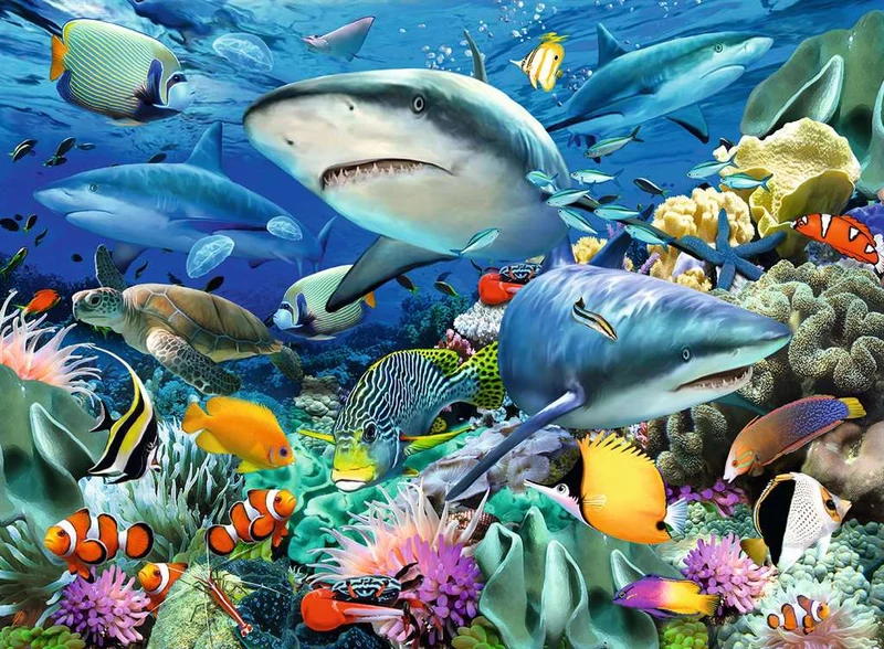 Shark Reef (100 pcs XXL)