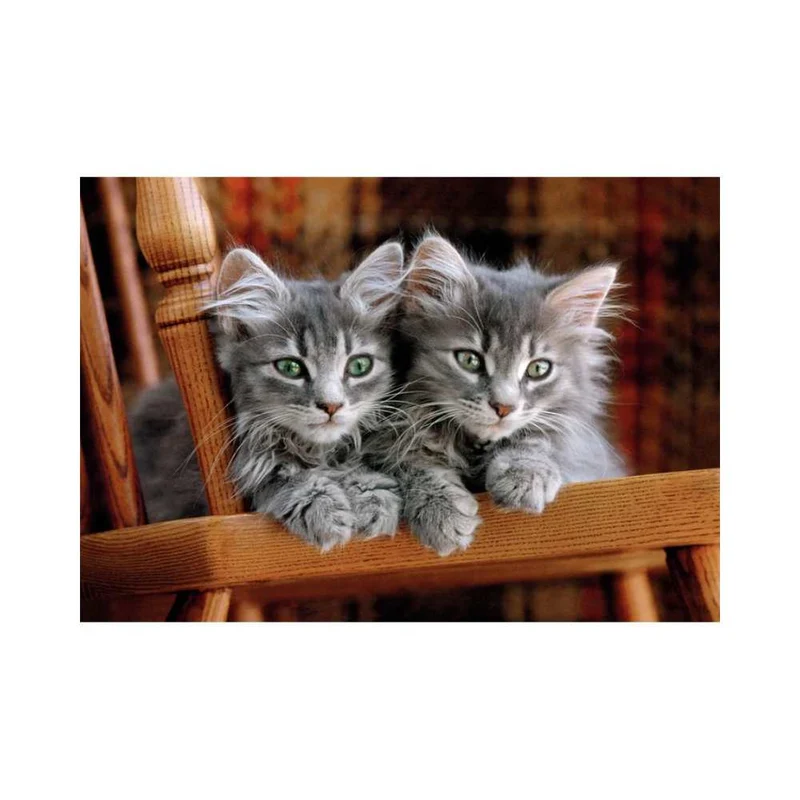 Chatons (500 pcs)