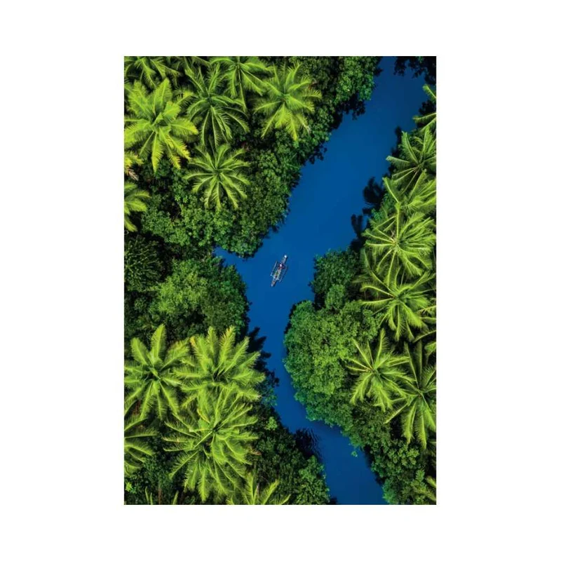 Vue aérienne tropicale (500 pcs)