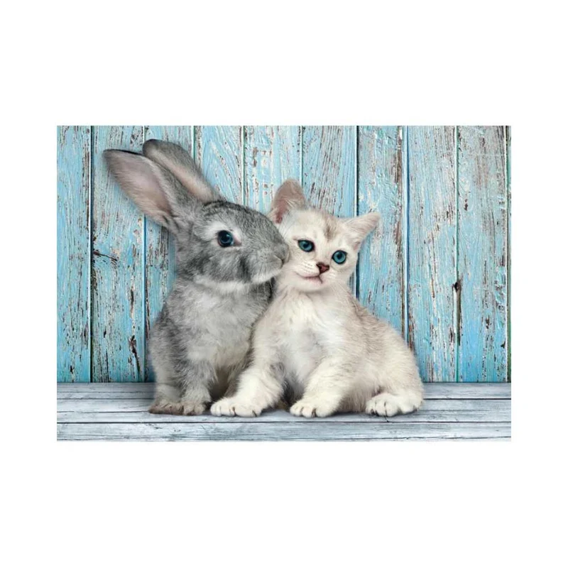 Chat et lapin (500 pcs)
