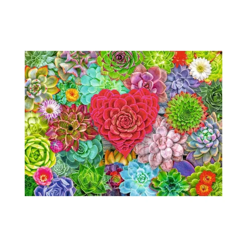 Succulent Love (500 pcs)