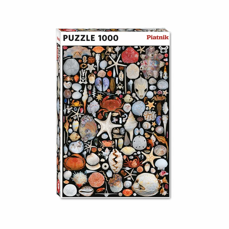 Objets de plage (1000 pcs)