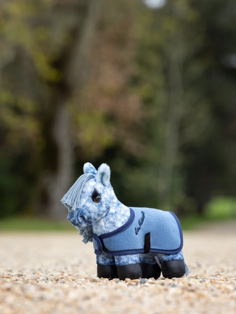 Tiny Pony LeMieux