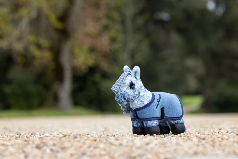 Tiny Pony LeMieux