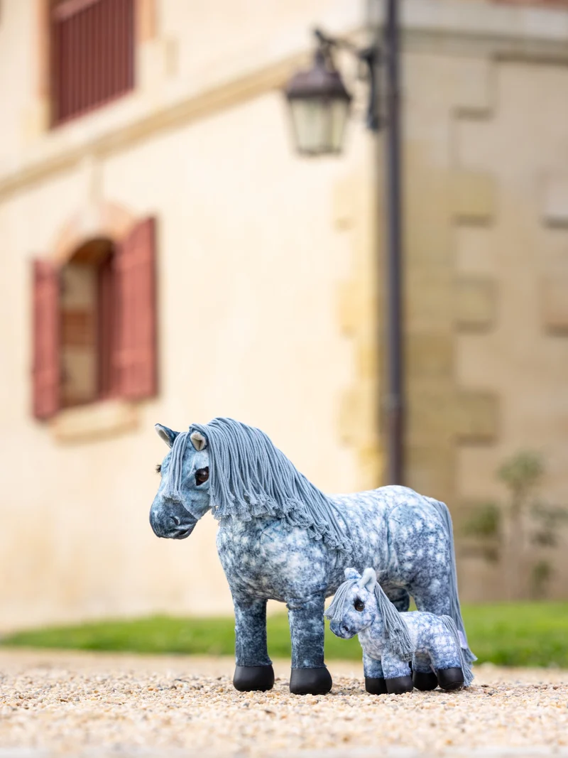 Tiny Pony LeMieux