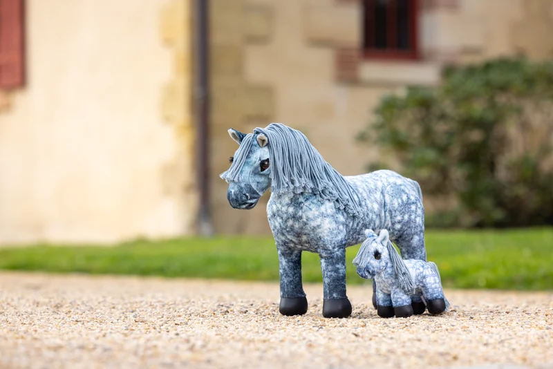 Tiny Pony LeMieux
