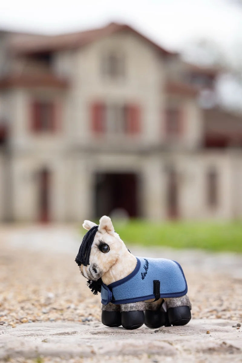 Tiny Pony LeMieux