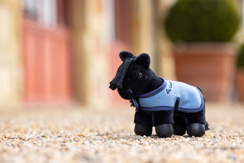 Tiny Pony LeMieux