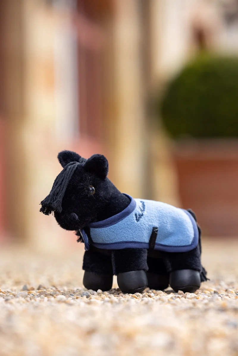 Tiny Pony LeMieux