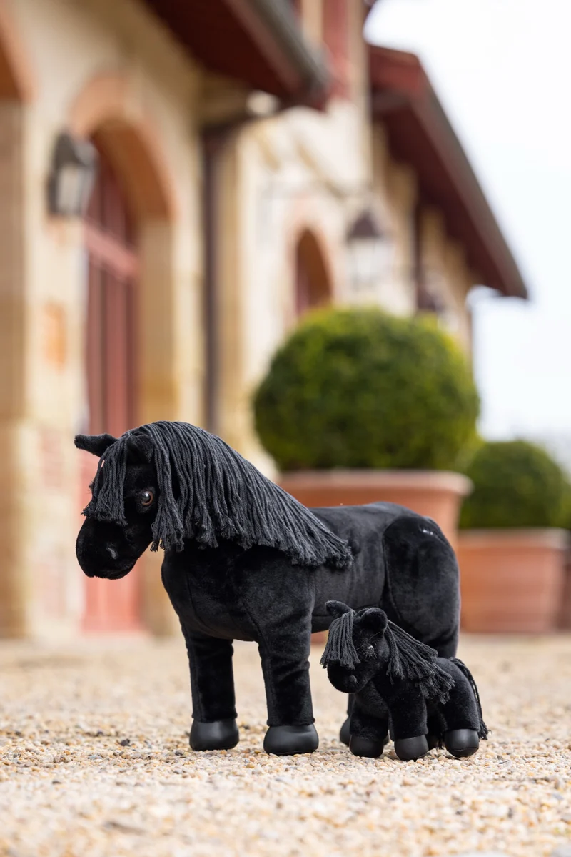 Tiny Pony LeMieux