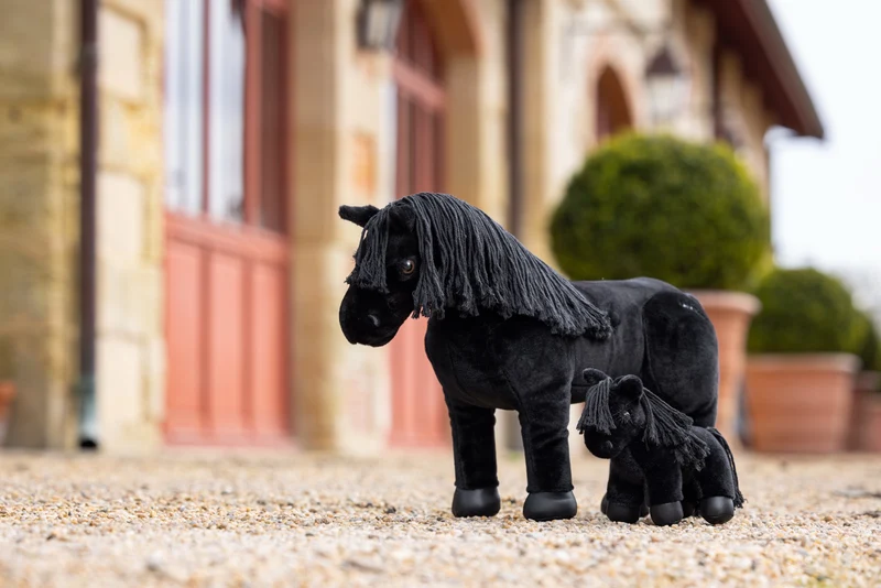 Tiny Pony LeMieux