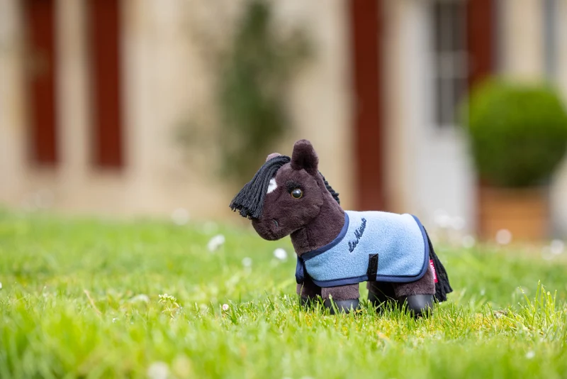 Tiny Pony LeMieux