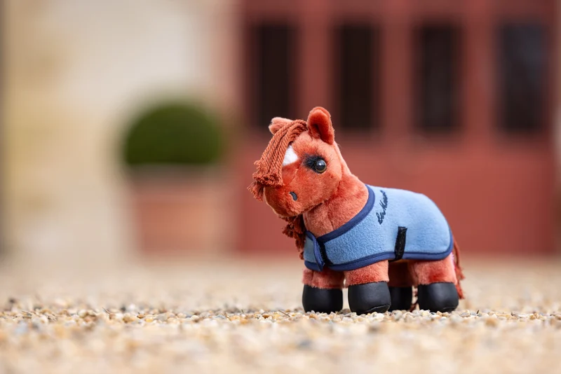 Tiny Pony LeMieux