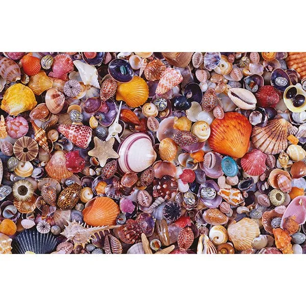 Coquillages (1000 pcs)