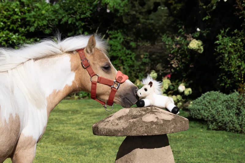 Mini Poney en Peluche Tiny Beanie Pony
