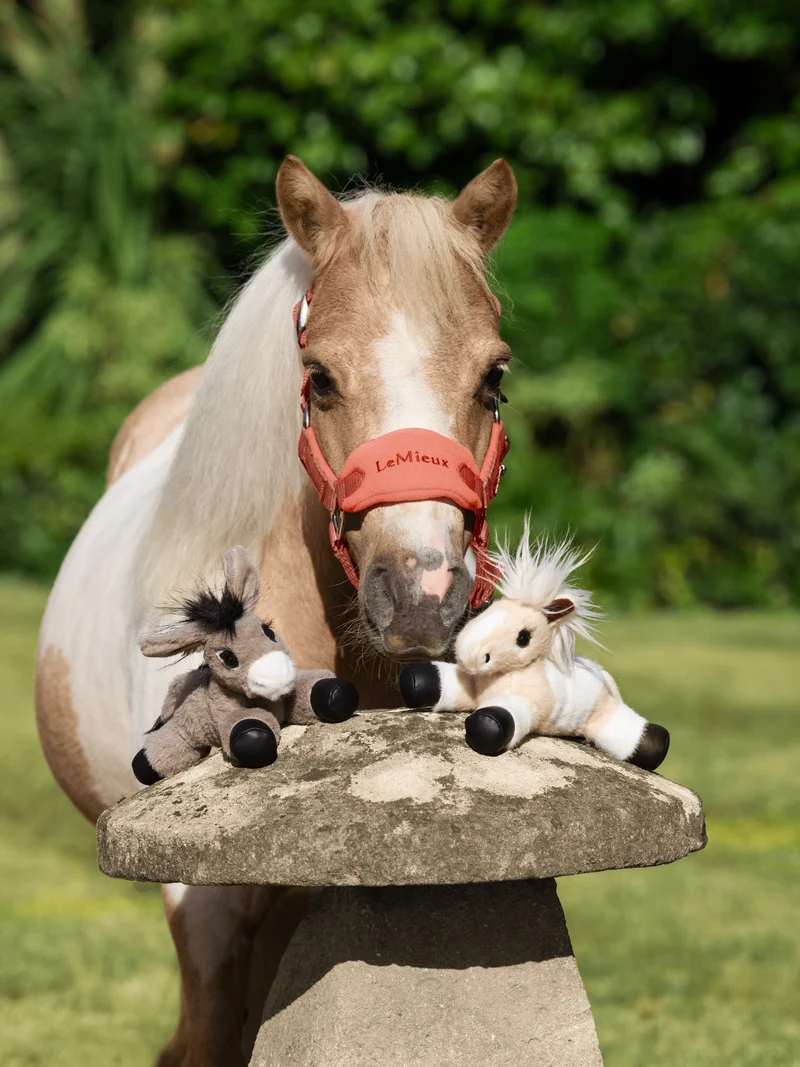 Mini Poney en Peluche Tiny Beanie Pony