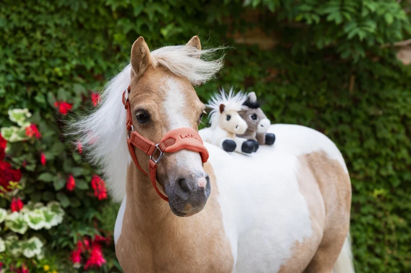 Mini Poney en Peluche Tiny Beanie Pony
