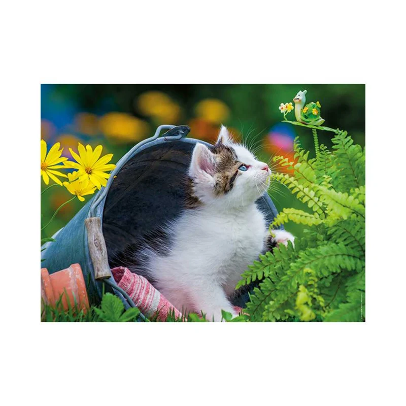 Petit chaton curieux (250 pcs)