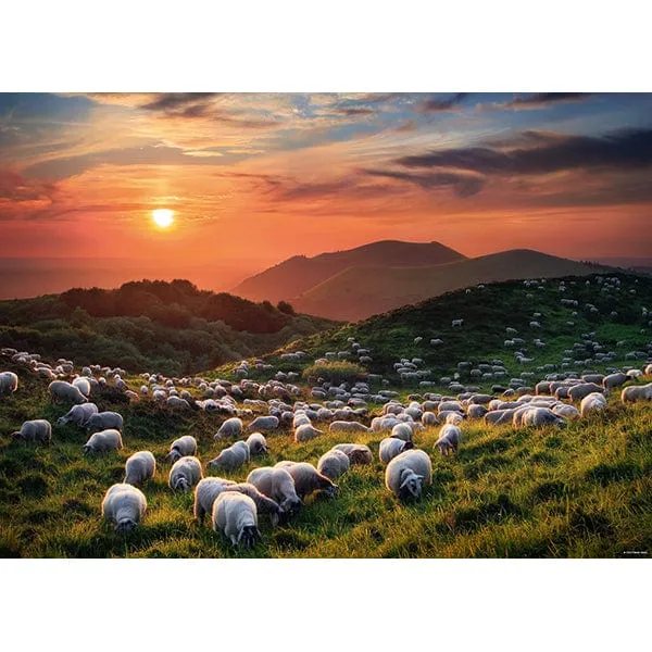 Sheep and Volcanoes, AVH (1000 pcs)