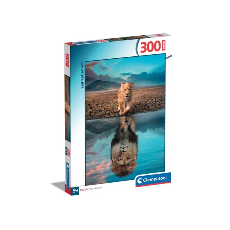 Réflexion (300 pcs)