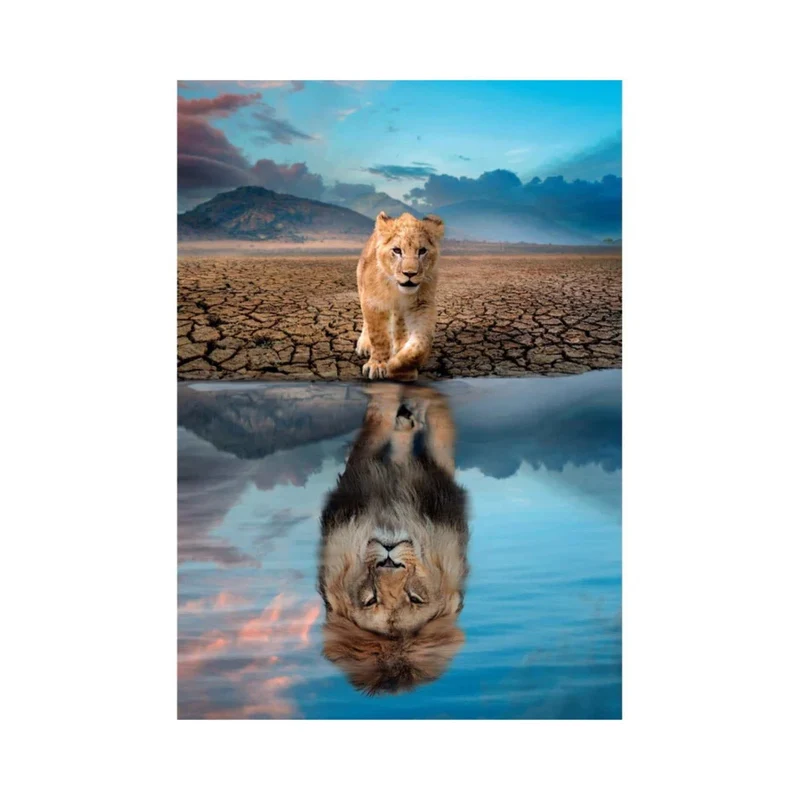 Réflexion (300 pcs)