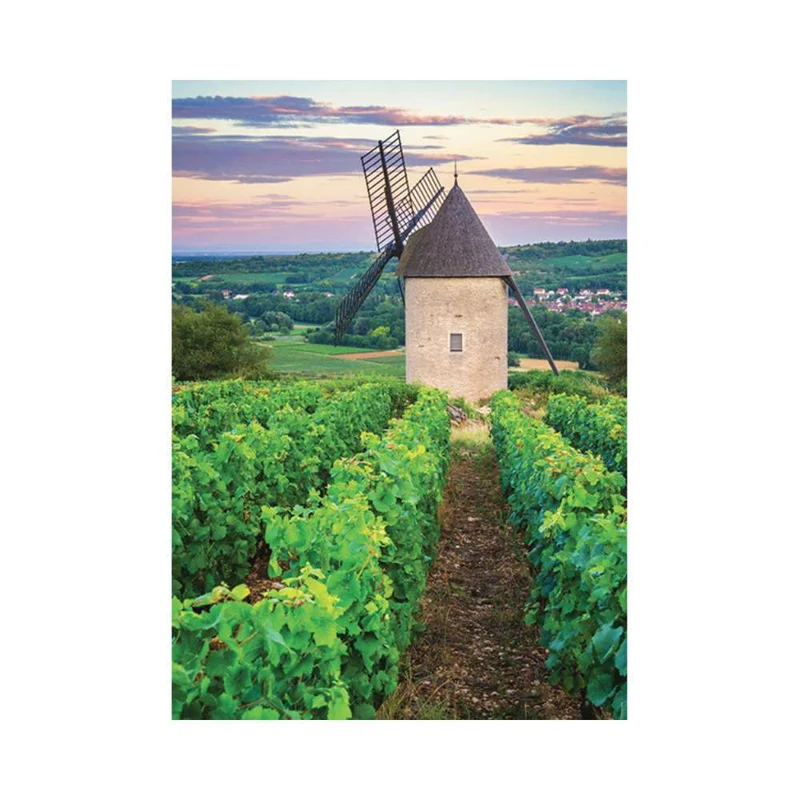 Moulin Sorine, vignoble Santenay (1000 pcs)