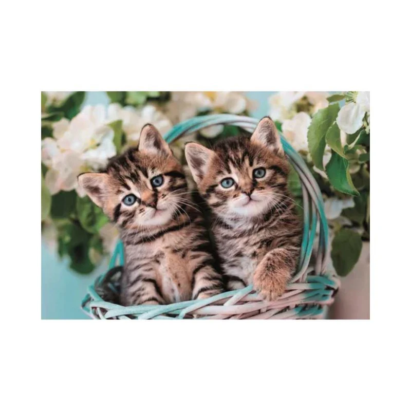 Adorables chatons (60 pcs)