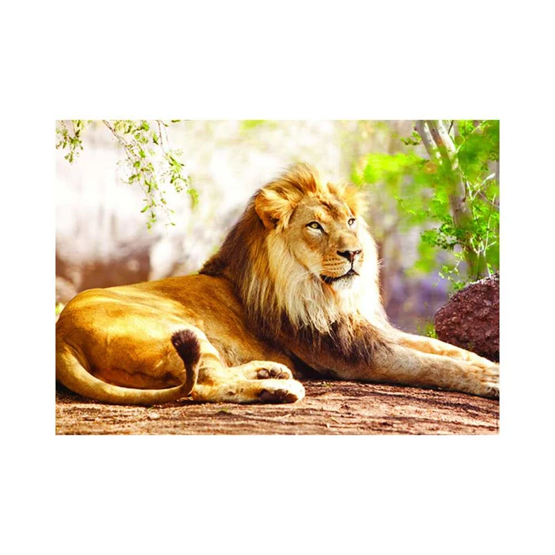 Le roi de la savane (1500 pcs)